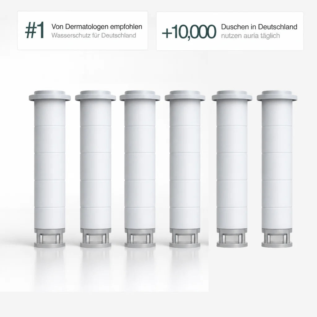 6er-Pack Ersatzfilter